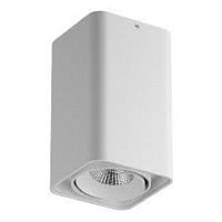 Светильник наклодной Lightstar 220В 10Вт 3000К Белый IP65 картинка 